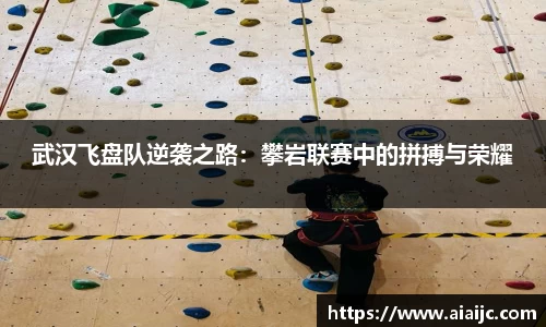 武汉飞盘队逆袭之路：攀岩联赛中的拼搏与荣耀
