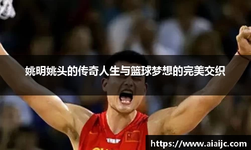 姚明姚头的传奇人生与篮球梦想的完美交织